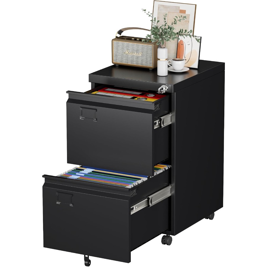 Office Furniture Names - 2 Drawer Mobile File Cabinet Metal